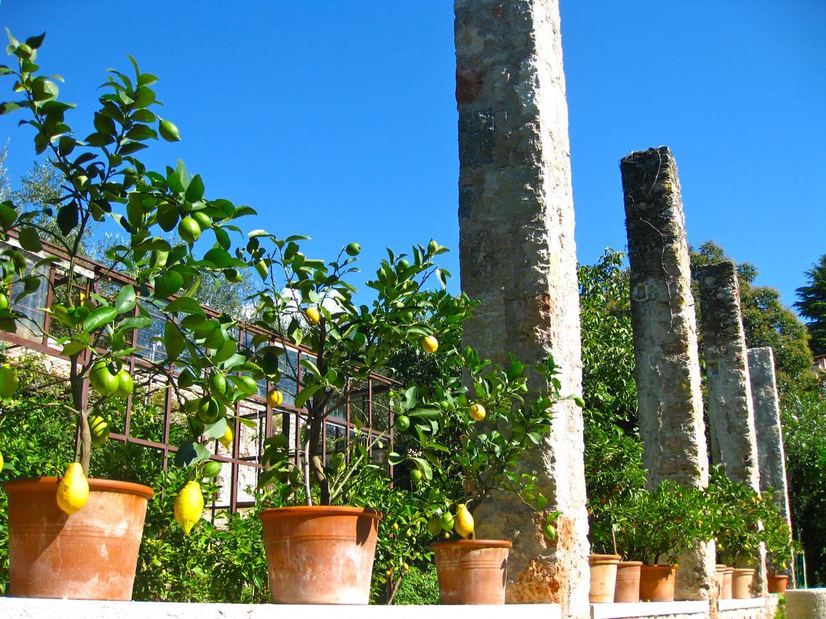 Hotel Belvedere Torri Del Benaco Exterior photo