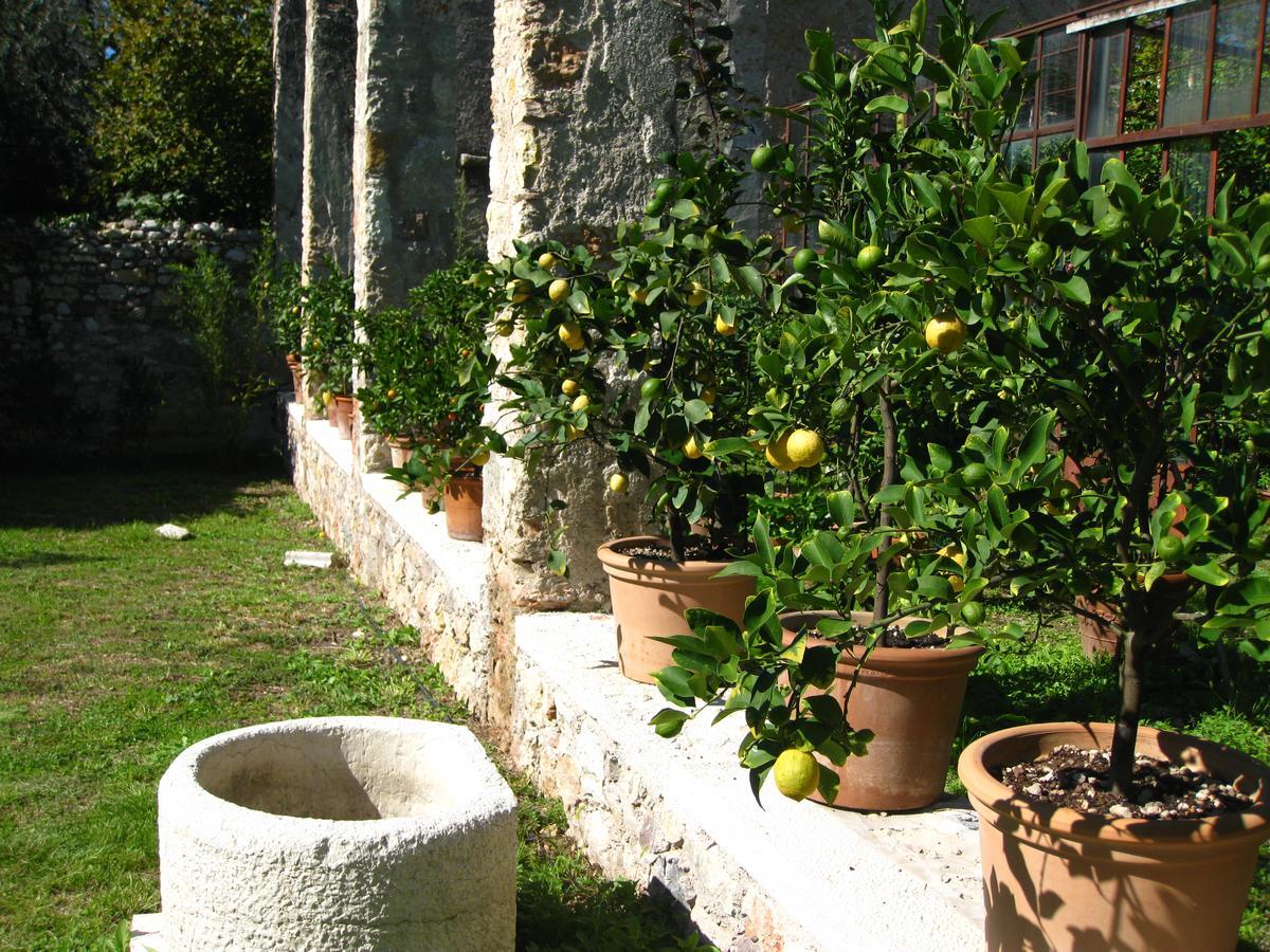 Hotel Belvedere Torri Del Benaco Exterior photo